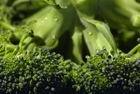 Sulforaphane is a Nutrient You Should Know, Nutrition Therapy Institute