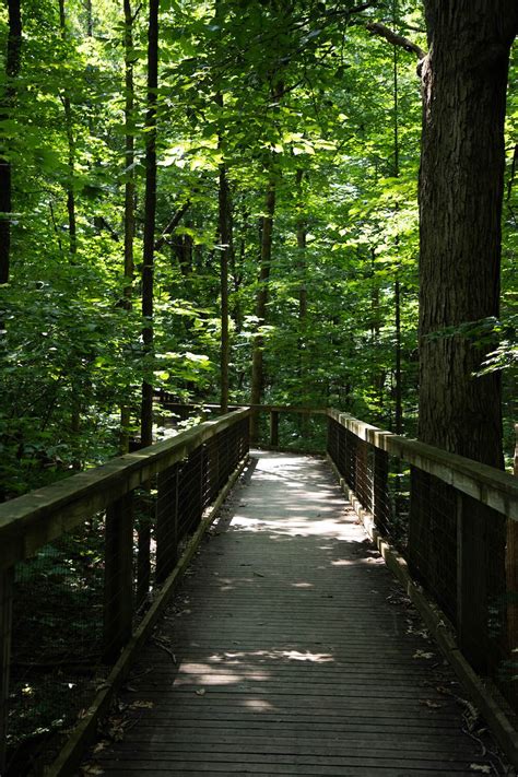 5 Fort Wayne parks that will feed your soul