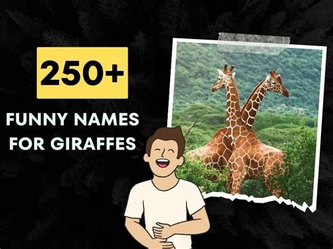 250+ Funny Names For Giraffes (Creative and Unique Ideas)