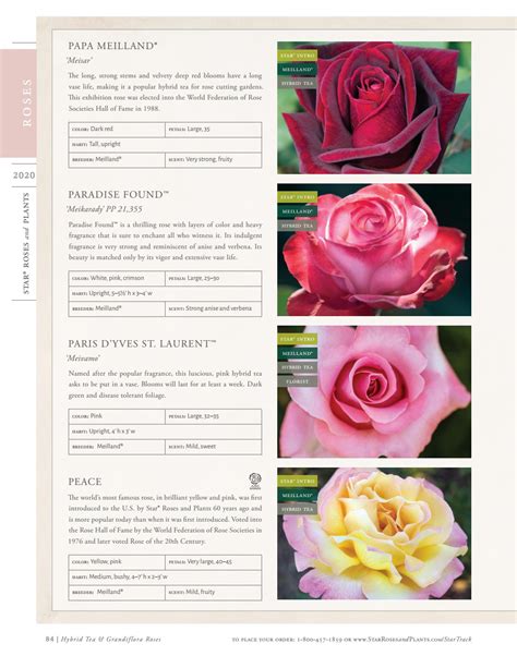 2020 Star® Roses and Plants Catalog by Star® Roses and Plants - Issuu