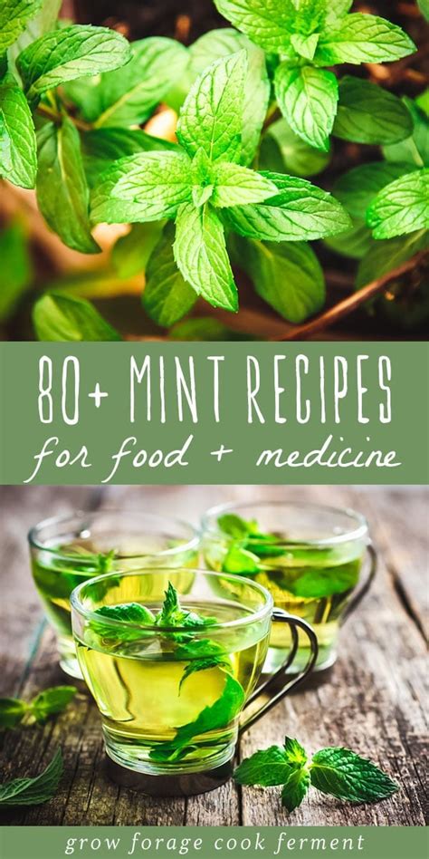 80+ Mint Recipes: Drinks, desserts, remedies + more!