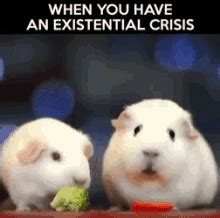 Existential Crisis Dance GIF - Existential Crisis Dance Spongebob ...