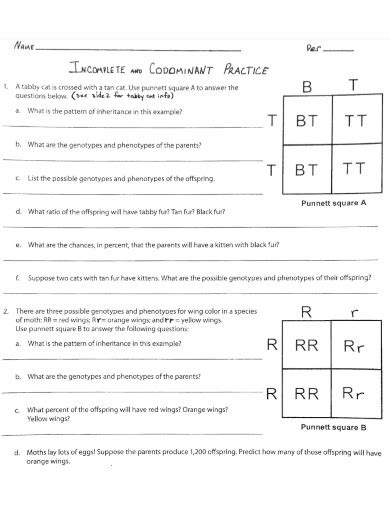 Codominance - Examples, PDF | Examples