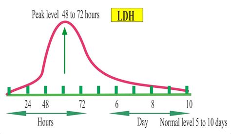 Lactate Dehydrogenase level (LDH, Lactic Dehydrogenase), Isoenzymes of LDH – Labpedia.net