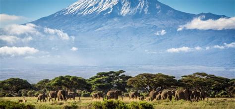 Interesting facts about Mount Kilimanjaro that will captivate you to climb