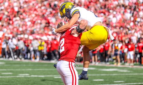 Michigan football WR Roman Wilson recalls highlight-reel TD catch vs ...