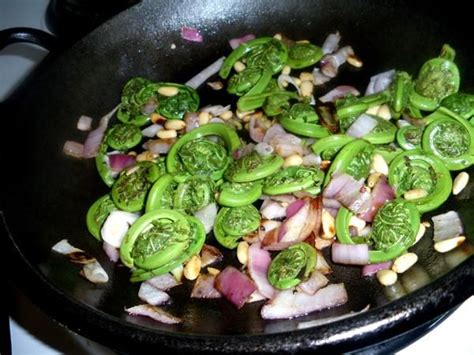 Fiddlehead Ferns Recipe - Food.com | Recipe | Fiddlehead fern recipes, Food, Recipes