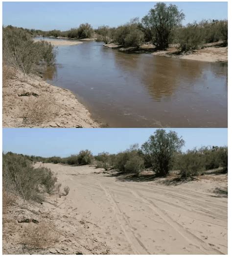 Experimental flow of water along Colorado River leads to Green Rebirth