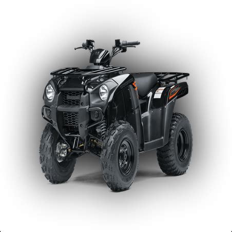 ATV Repair Manuals