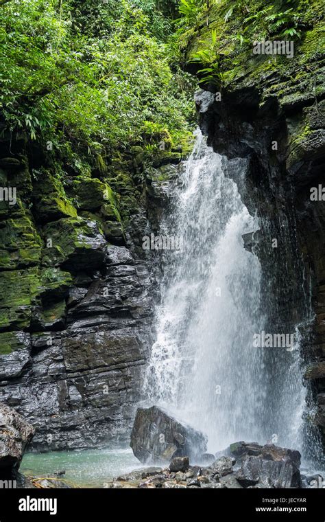 Waterfall and river in Misahualli, Amazon, Ecuador Stock Photo - Alamy