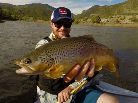 Colorado River Gold Medal Fly Fishing - blog.vailvalleyanglers.com