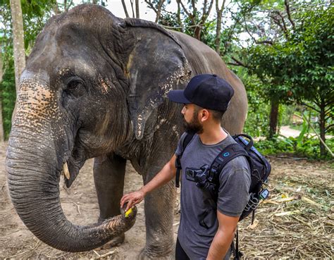 The Best Phuket Elephant Sanctuary – Green Elephant Sanctuary Park ...