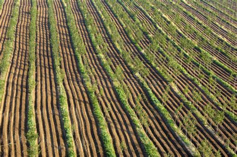 Furrow stock image. Image of agriculture, rhythm, fields - 8253797