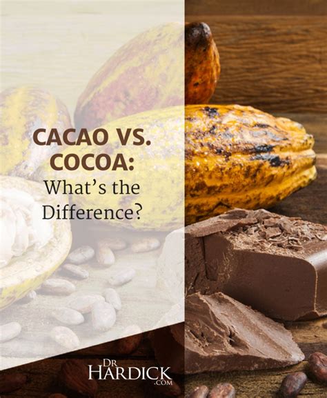 Cacao vs. Cocoa - What’s the Difference? | DrHardick