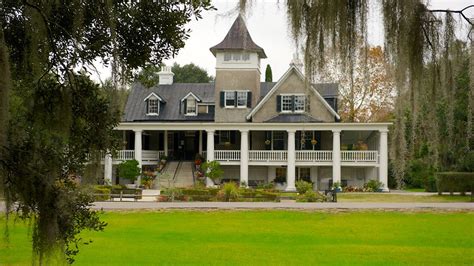 Magnolia Plantation and Gardens in Charleston, South Carolina | Expedia