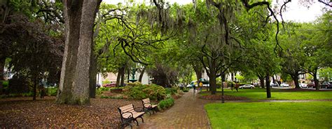 Surrounding Areas - Savannah/Hilton Head International Airport