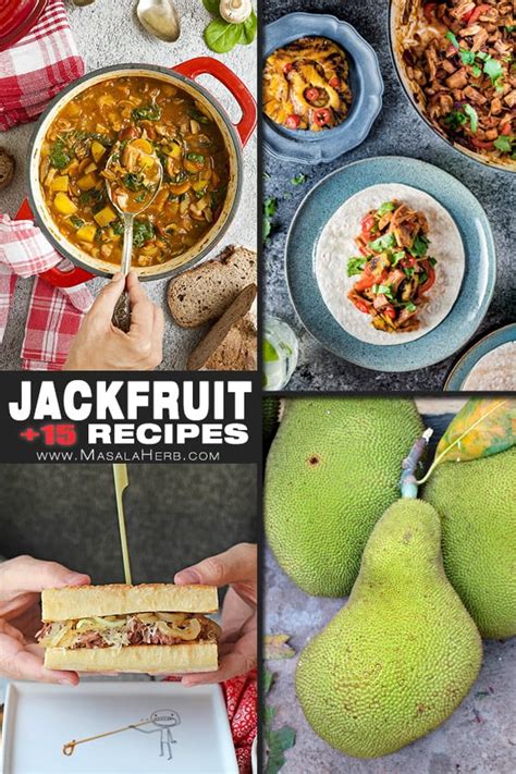 +15 Jackfruit Recipes to try now! | MasalaHerb.com