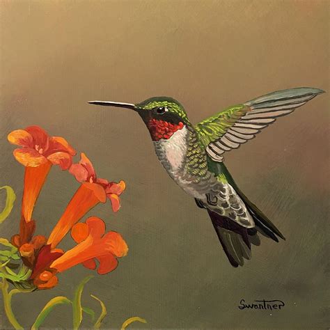 15+ Hummingbird Acrylic Painting