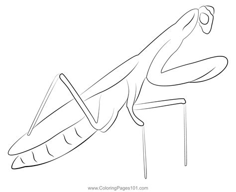 Praying Mantis Look Coloring Page for Kids - Free Mantises Printable ...