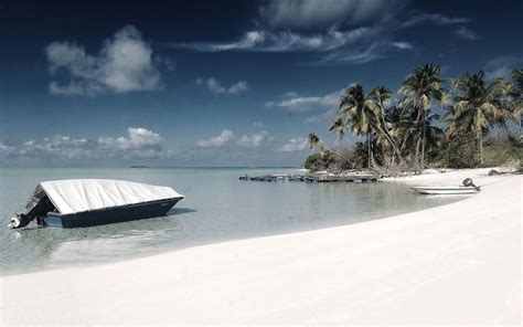 2560x1600 Beach, Sand, Palm trees wallpaper - Coolwallpapers.me!