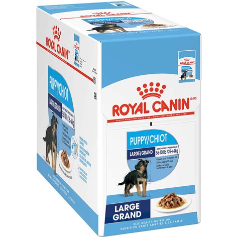 Royal Canin Puppy Large | ubicaciondepersonas.cdmx.gob.mx