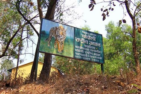 Chandoli National Park: Jungle Safari, Treks, Boating, & More