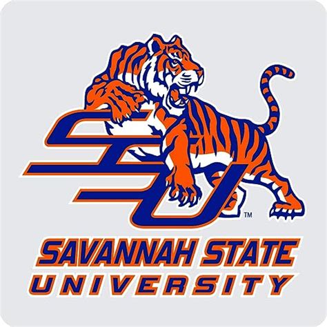 Amazon.com | Savannah State University Acrylic Coaster 4-Pack: Coasters