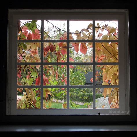 Autumn window | Flickr - Photo Sharing!