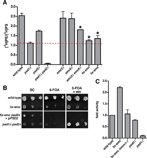 ER membrane protein complex | Semantic Scholar