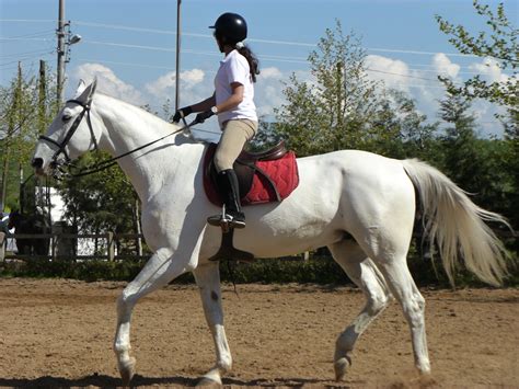 File:Girl riding horse 1030856 nevit.jpg - Wikimedia Commons