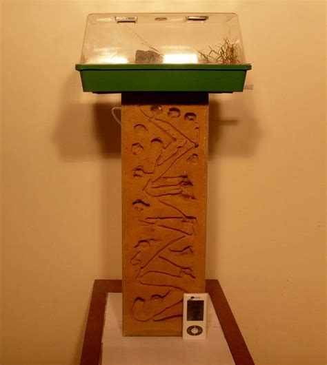 DIY Vertical Ant Farm - petdiys.com