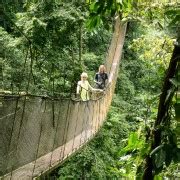 Manuel Antonio: Rainmaker Park Bridge & Waterfall Tour | GetYourGuide