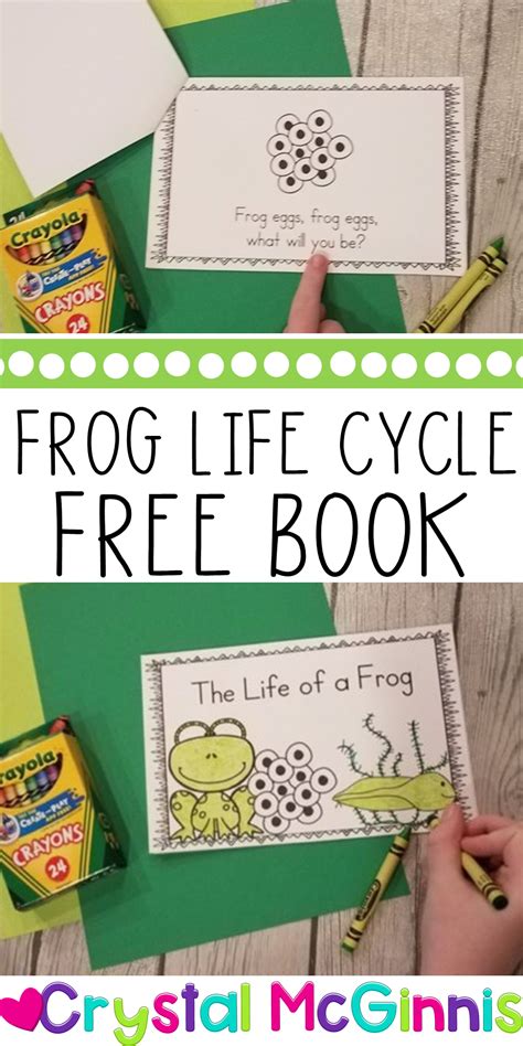 FREE Life Cycle of a Frog Emergent Reader | Frog Life Cycle Book | Life cycle books, Life cycles ...