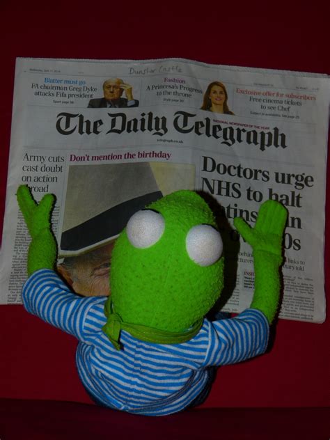Free Images : read, newspaper, green, frog, textile, england, doll, art ...