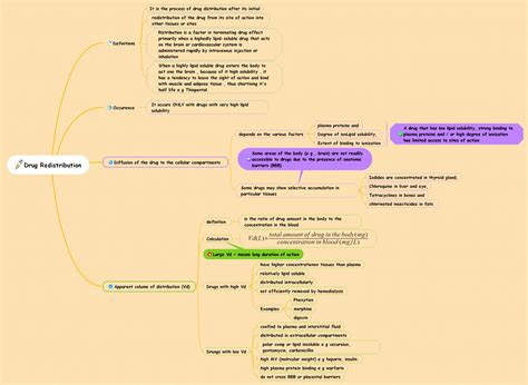 10 Free Mind Map Templates/Examples for 2024