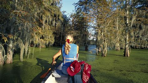 Bayous, boardwalks & birding: get outdoors in Louisiana – Lonely Planet ...