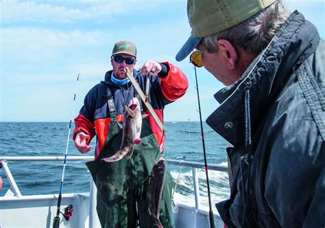 Tautog Fishing on a Party Boat - On The Water