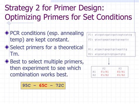 PPT - Primer Design PowerPoint Presentation, free download - ID:152509