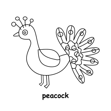 peacock line drawing 5994028 Vector Art at Vecteezy