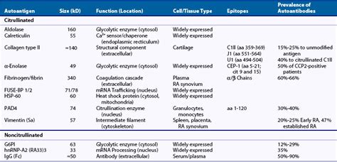 Autoantibodies in Rheumatoid Arthritis | Musculoskeletal Key