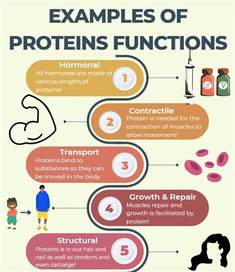 The Ultimate Guide to High Protein Meal Prep - NinjAthlete