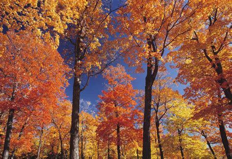 The Best Places to See Fall Foliage in Quebec