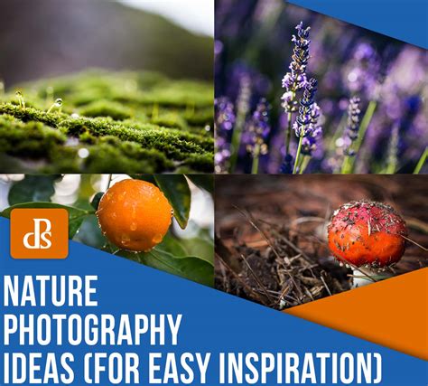 10 Nature Photography Ideas (for Easy Inspiration)