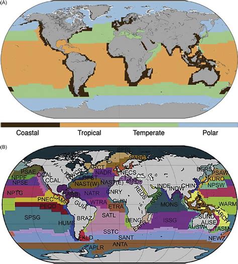 Map of the (A) biomes and (B) Biogeochemical provinces defined by ...