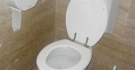 Unblock Toilet Easy :D Under $2 | Hometalk