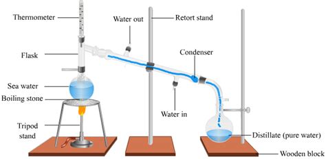 distillation-yolov5 Instance Segmentation Dataset and Pre-Trained Model ...