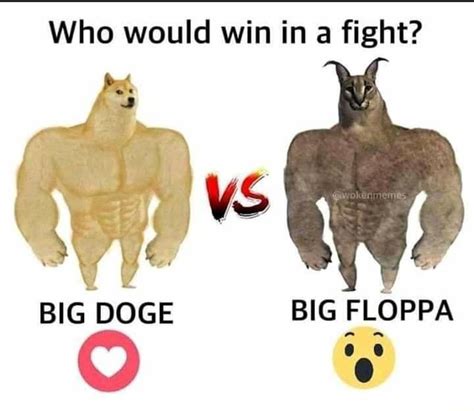 Who would win in fight? vS BIG FLOPPA BIG DOGE - iFunny