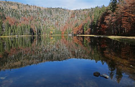 The Best Things to See and Do in the Bavarian Forest National Park