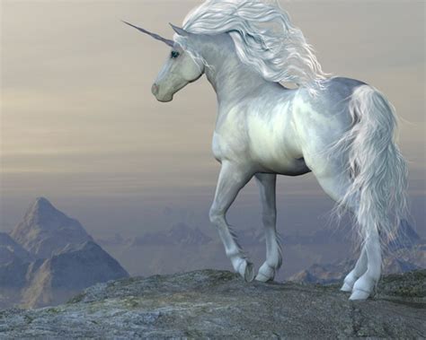 White Unicorn Wallpaper