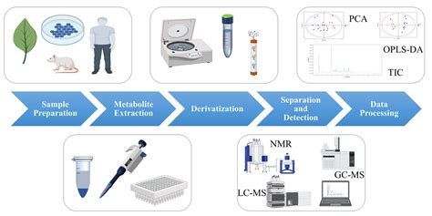 Process of Metabolomics Analysis | Encyclopedia MDPI